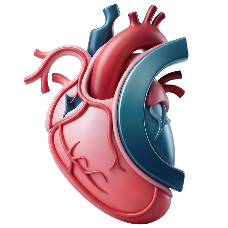 Interventional Cardiology Icon